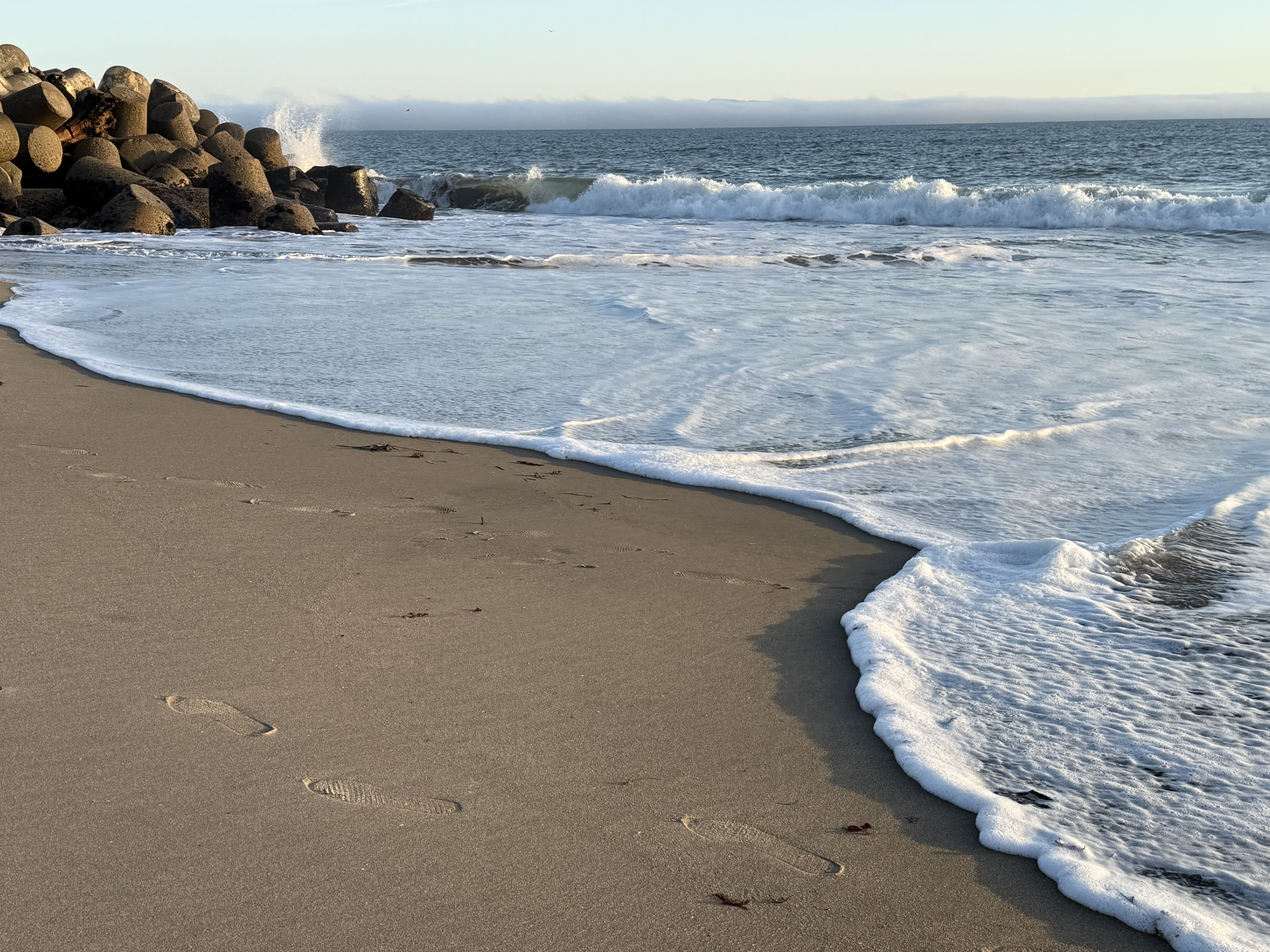 Waves and footprints on the Santa Cruz shore