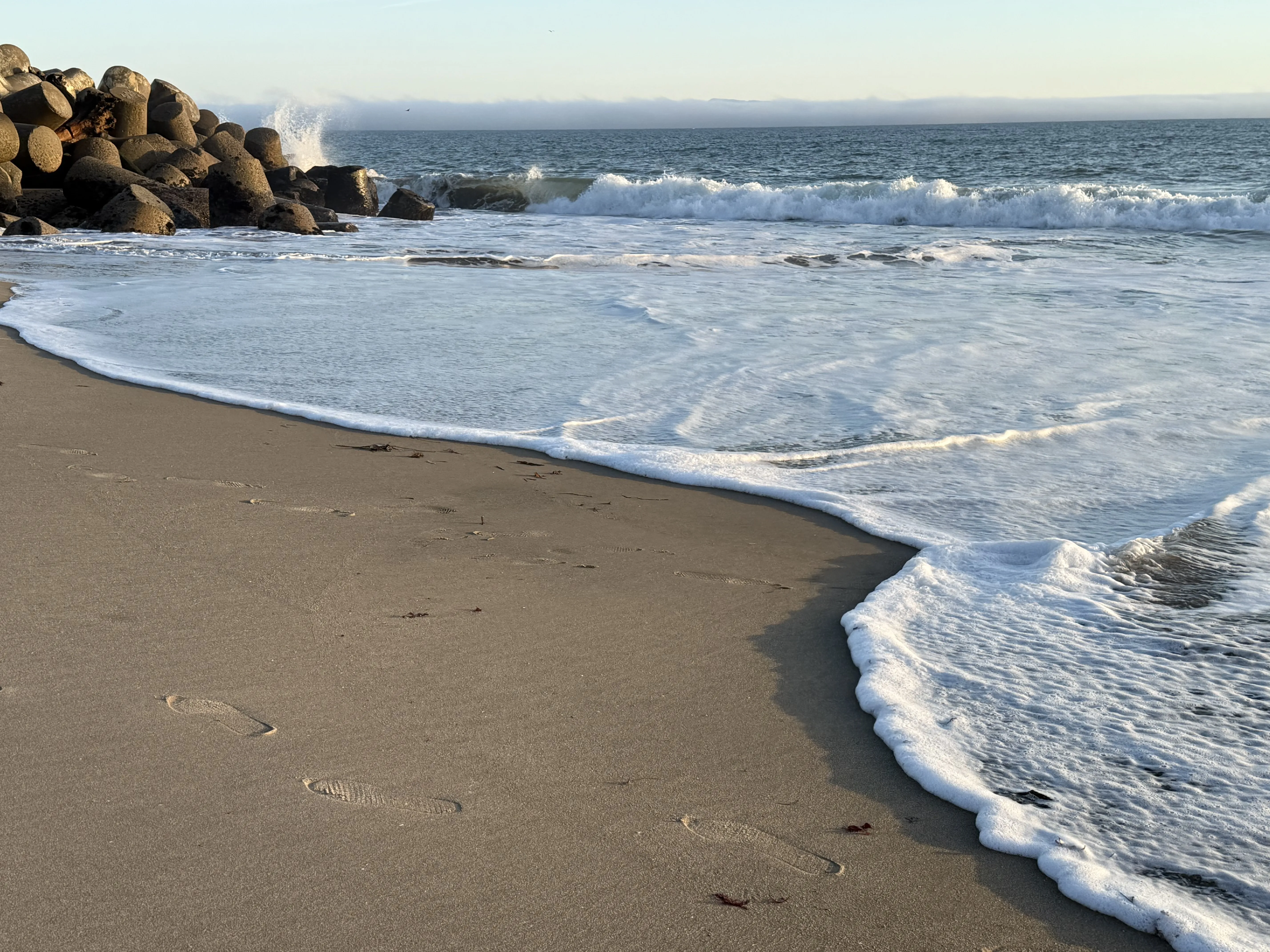 Santa Cruz shore at low tide