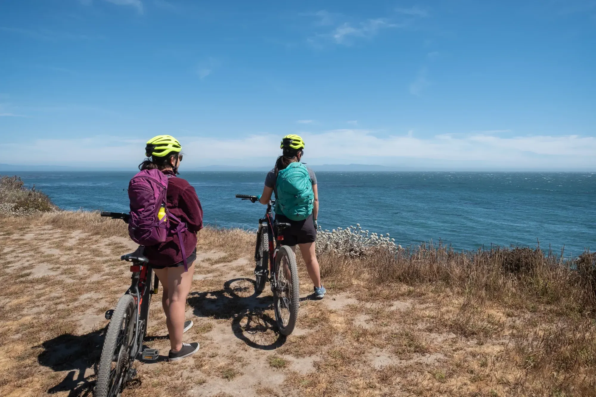Endurance athletes moving on the road