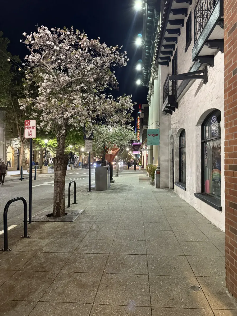 Trees in full blossom over a downtown sidewalk at night