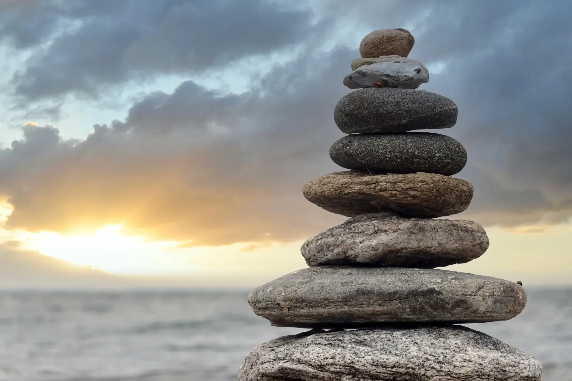 Programs and packages for structural integration and movement in Santa Cruz