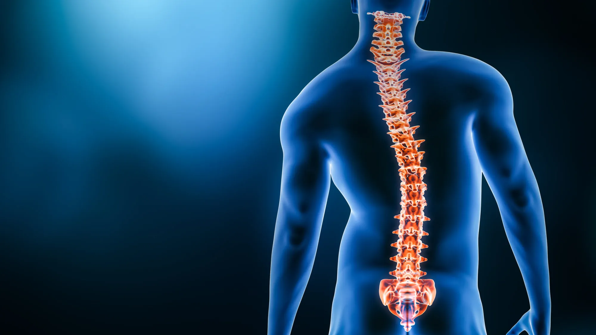 Working with a spiral spine pattern along its whole length